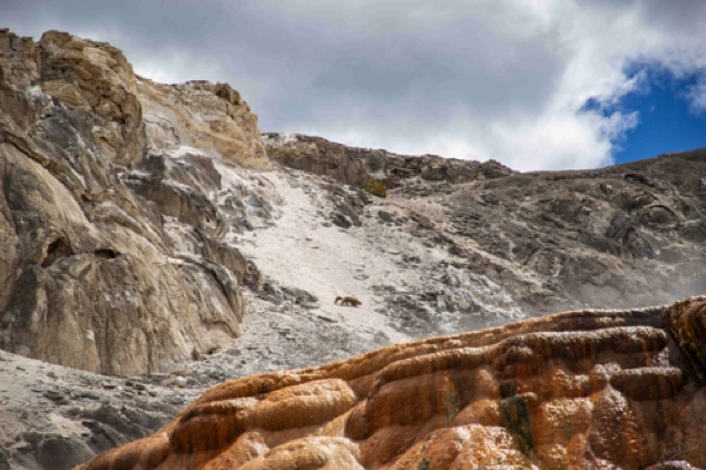 Yellowstone Mammoth Hot Springs